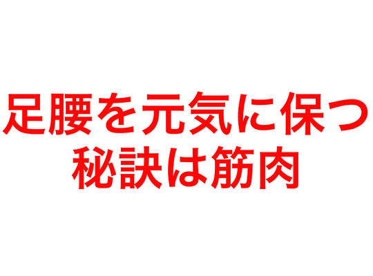 足腰を元気に保つ秘訣は筋肉！
