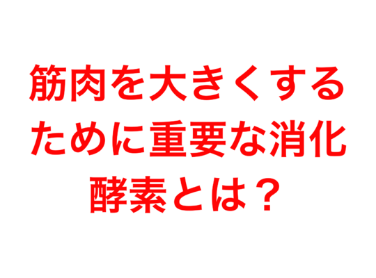 筋肉を大きくするために重要な消化酵素とは？