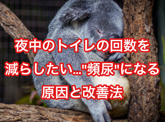 夜中のトイレの回数を減らしたい…