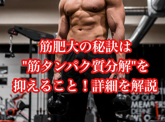 筋肥大の秘訣は、