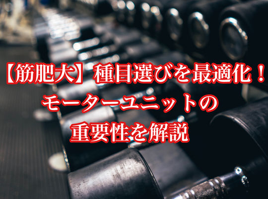 【筋肥大】種目選びを最適化！モーターユニットの重要性を解説