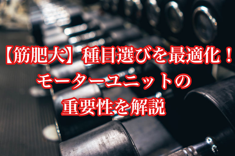 【筋肥大】種目選びを最適化！モーターユニットの重要性を解説