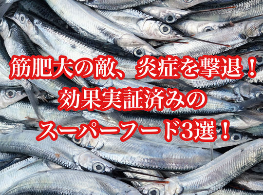 筋肥大の敵、炎症を撃退！効果実証済みのスーパーフード3選！