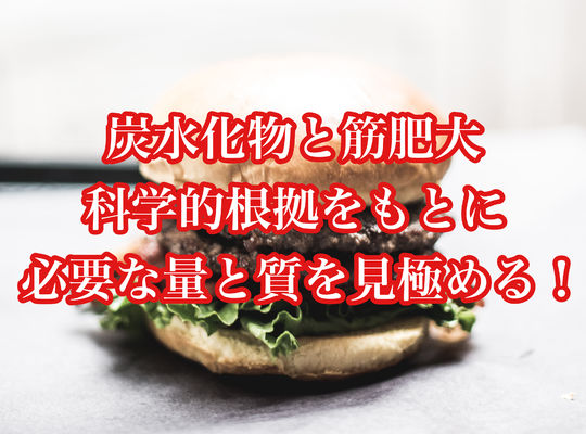 炭水化物と筋肥大、科学的根拠をもとに必要な量と質を見極める！