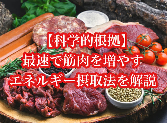 【科学的根拠】最速で筋肉を増やす