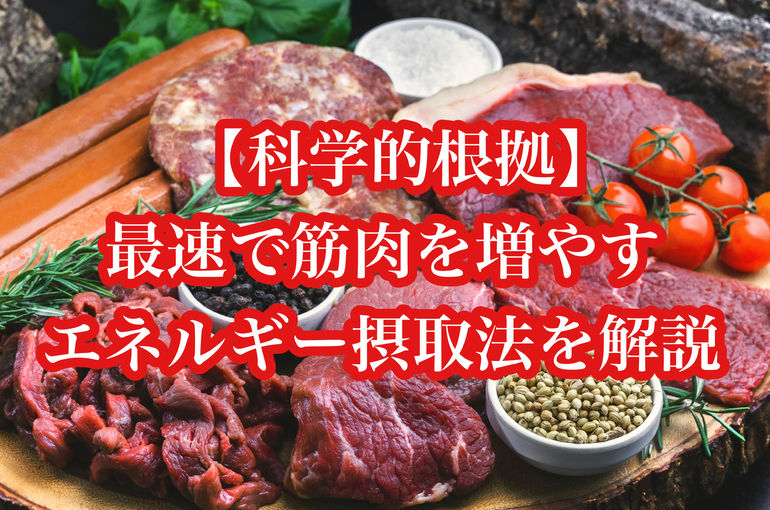 【科学的根拠】最速で筋肉を増やす