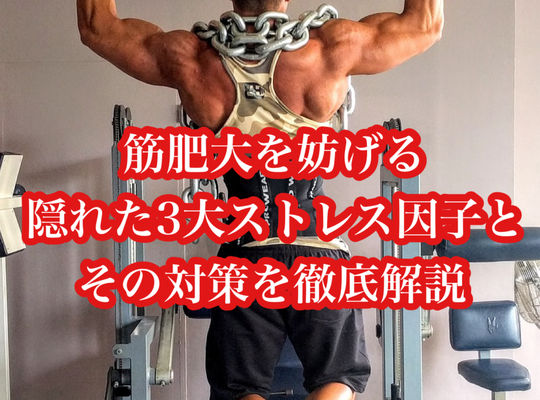 筋肥大を妨げる、隠れた3大ストレス因子とその対策を徹底解説