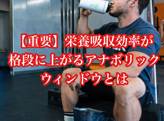 【重要】栄養吸収効率が格段に上がるアナボリックウィンドウとは