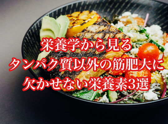 栄養学から見る、タンパク質以外の筋肥大に欠かせない栄養素3選