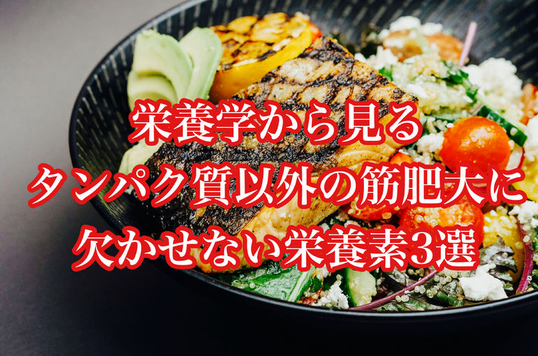 栄養学から見る、タンパク質以外の筋肥大に欠かせない栄養素3選