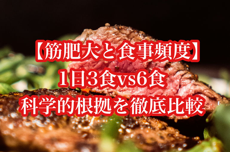 【筋肥大と食事頻度】1日3食vs6食、科学的根拠を徹底比較