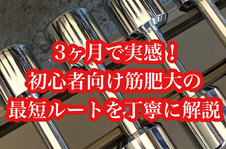 3ヶ月で実感！初心者向け筋肥大の最短ルートを丁寧に解説