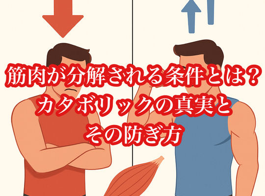 筋肉が分解される条件とは？カタボリックの真実とその防ぎ方