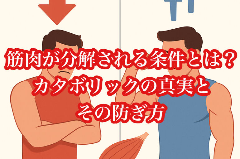 筋肉が分解される条件とは？カタボリックの真実とその防ぎ方
